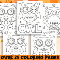 Owl Coloring Book, 25 Printable Owl Coloring Pages for Preschool, Kindergarten, Elementary School Ch