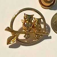 Vintage Avon Two Owls on a Branch Gold Tone Lapel Hat Tie Pin Souvenir 0755