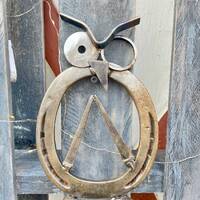 Horseshoe Owl