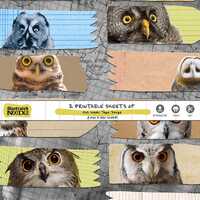 Hoo Hoo Digital Owl Washi Tape for collage and scrapbooking or digital notetaking