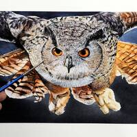 ORIGINAL Eagle Owl Watercolour Painting, Fine Art Watercolor Bird Illustration