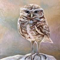 Wise Owl