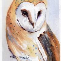 Barn Owl Portrait, Owl Painting, Owl, Barn Owl Art, Owl Greeting Cards,  Original Watercolor by Sue 