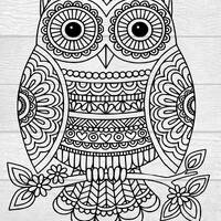 Owl SVG, Mandela Owl, Mandela SVG, Beautiful Owl , Digital Download