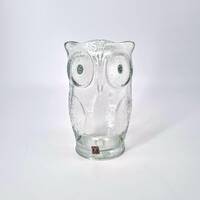 Cascade Glass Owl, Owl Piggy Bank, Vintage Glass Owl, Owl Mom Gift, made in England 1960s