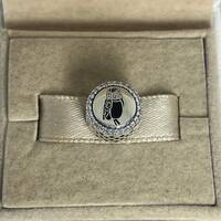 Pandora Aruba owl Exclusive Bead Charm S925 Sterling Silver Travel Jewelry for Bracelet for Necklace
