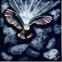 Night Owl, owls, nature, nighttime, whimsy
