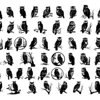 OWL SVG Bundle, OWL Clipart, Owl Svg Files For Cricut, Owl Svg Cut Files For Cricut, Bird Silhouette
