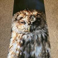 Tawny Owl Beach Towel, Microfibre Towelling, Holiday Accessory, Owl Gift