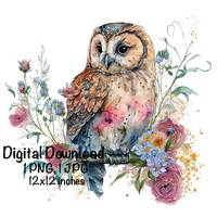 Owl Watercolor Clipart Night Owl & Spring Flowers PNG Commercial Use Owl Graphic Design Illustra