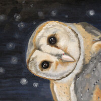 Barn Owl Looking Sideways Original Oil Painting