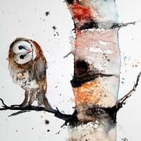 Barn owl Print, owl prints, animal art, bird painting, animals, watercolor print, birch tree print,