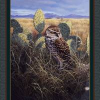 New Large Wild Birds BURROWING OWL on this 100% Cotton Panel for quilts, crafts, wall hanging Style