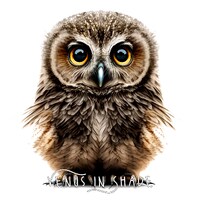 Owl | Barn Owl - Bird of Prey Forest Creatures - Wildlife Outdoor Forest Woodland Fantasy Celtic Sto