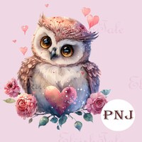 Valentine Owl PNG, Hearts Clipart, Clipart, Sublimation, Tumbler, Baby shower, Trendy png, Pink, Par