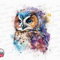 Watercolor Cute Owl Clipart - Owl Sublimation Design, Owl Baby Shower, Owl Printable Art, Owl Boho D