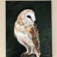 Barn owl original acrylic painting on 16" x 20" canvas, ready to hang