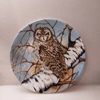 Vintage Coalport The Short Eared Owl 8" Picture plate.