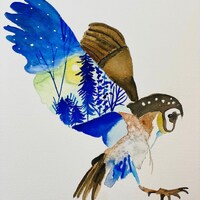 Watercolor Owl with Decorative Wing, on Arches Cold Press paper, painted with Schminke paint.