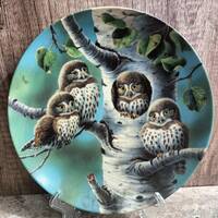 The Tree House: Northern Pygmy Owls