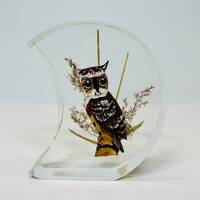 Vintage Owl in Crescent Moon Lucite Paperweight Carved Wood Owl 1970s Kitsch Decor