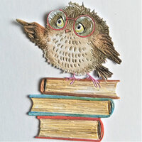 4 x owl and books die cuts, exam cards, teacher gift cut outs, graduation cards toppers, scrapbookin