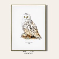 SNOWY OWL Printable Download | High Resolution Illustration | Vintage Owl Bird Art | Instant Downloa