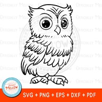 Owl SVG, Owl Gift for Her, Cute Owl SVG, Cute Bird svg, Cute Owl Clipart, Cute Owl PNG, Owl Vector,