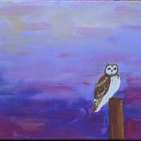 Short Eared Owl- Original Art