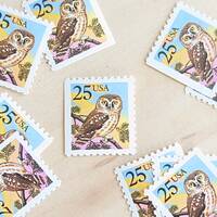10 Owl Stamps, 1988, 25 Cents, Bird Stamps, Unused US Postage, Vintage Collectible Stamps