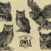Owl Vector Illustration Bundle, Rustic and Vintage Design - Commercial Use - Instant Download - PNG,
