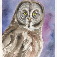 Great Gray Owl Watercolor, Original Watercolor Painting 8"x10" (NOT A PRINT)