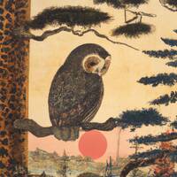 20 Stunning Original Owl Artworks for your printing projects [DIGITAL DOWNLOAD ONLY]