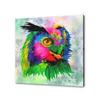Owl Bird Colourful Watercolour Abstract Modern Design Home Decor Canvas Print Wall Art Picture