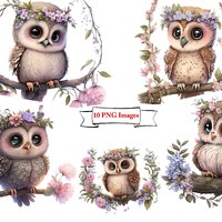 Watercolor Celestial Cute Owls Clipart Bundle - fantasy owl clip art in PNG format in Tranparant Bac
