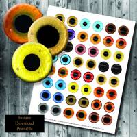 25mm Realistic Owl Bird Eye Round Images - Digital Collage Sheet - Printable Animal Foul - 25mm 1 In