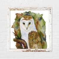 Owl Print, Square Bird Watercolor, 10x10, 8x8, 5x5, 4x4, Barn Owl on a Branch Painting, Wall Art