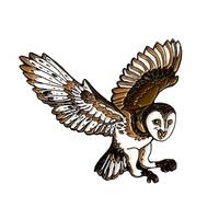 Barn Owl Pin