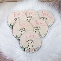 Owl Milestone Cards, Baby Milestone Woodland Discs Marker, Wood Milestone Card, Baby Milestones, Pho