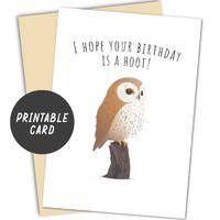 Printable Owl Birthday Card, Instant Download, Funny Card, Minimalist Design, White Background, I Ho