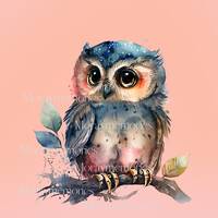 Owl, bird, Cute Owl Watercolor Clipart Bundle, owl, owl clipart, owl png, owl clip art, cute owl, ow