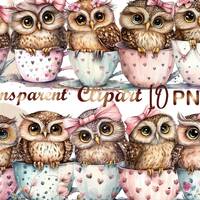 10 Owl in a Cup Clipart, png, Owl clipart, Owl in a cup clipart, Owl sublimation, commercial use, di