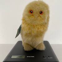 Jekkel Toys Penzance Cornwall Plush Baby Owl Owlet Soft Toy With Original Tag