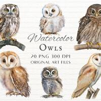 Watercolor Owl 20pc PNG & JPEG Bundle | Watercolor Owl PNG | Owl Art | Owl Commercial Use | Cute