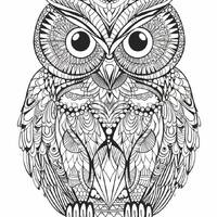 Mandala Owl Coloring Sheet for Adults - Printable Coloring Page - Advanced Coloring - Digital File -