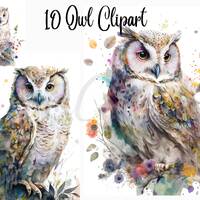 10 Owl Watercolor Clipart, Commercial use,JPGs, Digital Paper Crafting, Mixed Media, Watercolor clip