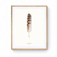 Long-eared Owl's Elegance a 1:1 Scale Print of a Wing Feather on Bamboo