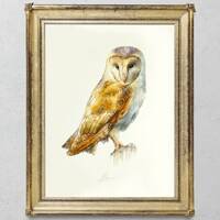 Barn Owl Painting, ORIGINAL Watercolor, Bird Art, Wall decor, Ornithology, Bird Lovers Gift