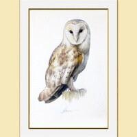 Barn Owl Watercolor Painting: Limited Edition Fine Art Print