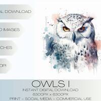 Owls I - Watercolor Style - Clip Art - Digital Art Download - 300 DPI - PNG - Commercial Use - AI ge
